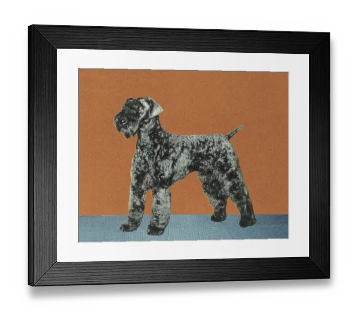Framed Print : Terrier. http: / / csaimages.com / images / istockprofile / csa_vector_dsp.jpg Framed Print : Terrier. http: / / csaimages.com / images / istockprofile / csa_vector_dsp.jpg