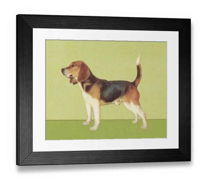 Framed Print : Beagle. http: / / csaimages.com / images / istockprofile / csa_vector_dsp.jpg Framed Print : Beagle. http: / / csaimages.com / images / istockprofile / csa_vector_dsp.jpg