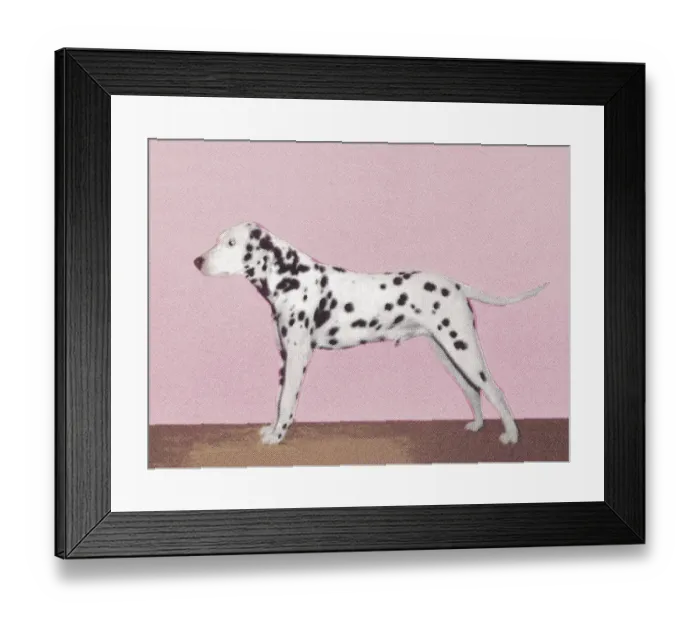 Framed Print : Dalmation. http: /  / csaimages.com / images / istockprofile / csa_vector_dsp.jpg