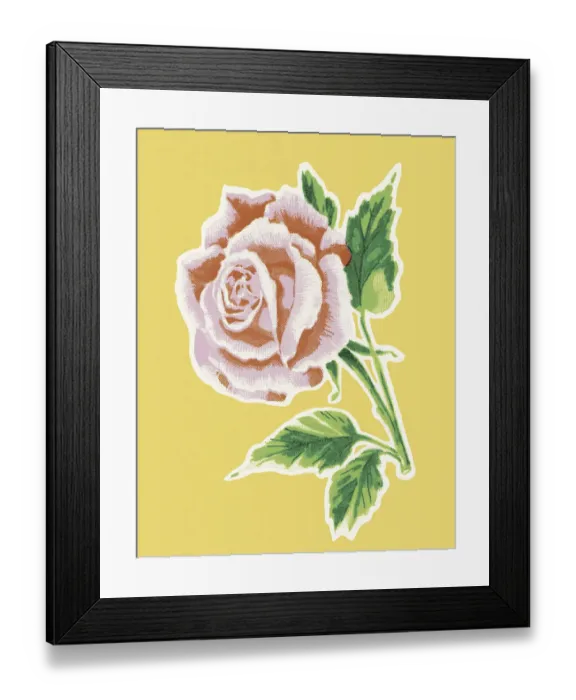 Framed Print : Pink Rose. http: / / csaimages.com / images / istockprofile / csa_vector_dsp.jpg Framed Print : Pink Rose. http: / / csaimages.com / images / istockprofile / csa_vector_dsp.jpg