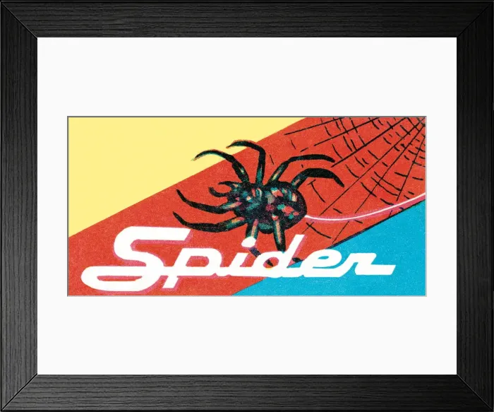 Framed Print : Spider. http: / / csaimages.com / images / istockprofile / csa_vector_dsp.jpg Framed Print : Spider. http: / / csaimages.com / images / istockprofile / csa_vector_dsp.jpg