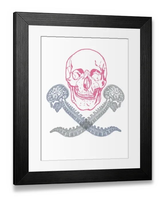 Framed Print : Skull and spine Framed Print : Skull and spine
