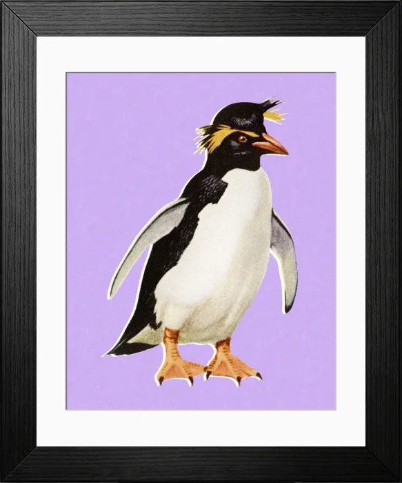 Framed Print : Penguin Framed Print : Penguin
