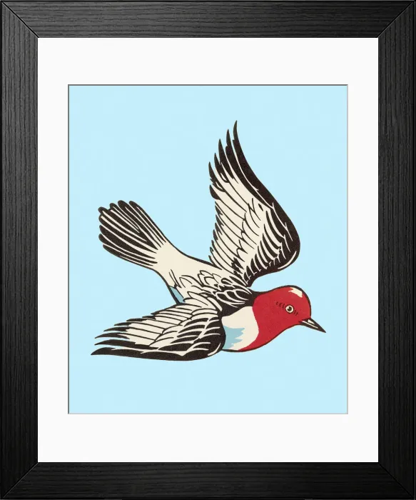 Framed Print : Bird Flying Framed Print : Bird Flying