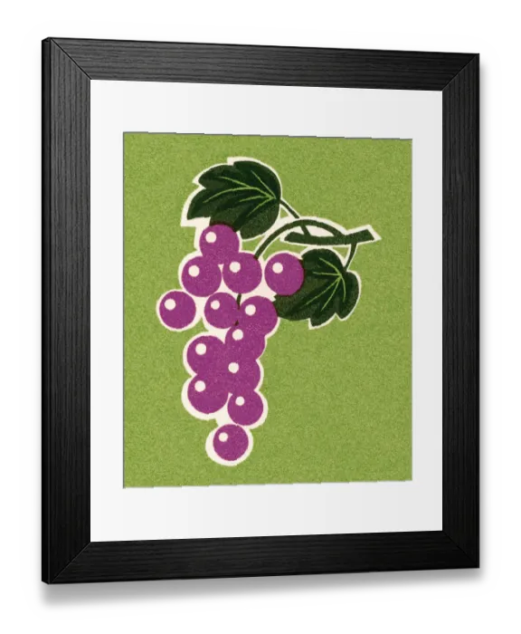 Framed Print : Bunch of Grapes Framed Print : Bunch of Grapes