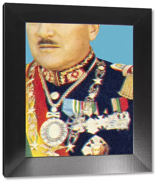 Decorated Man With Mustache