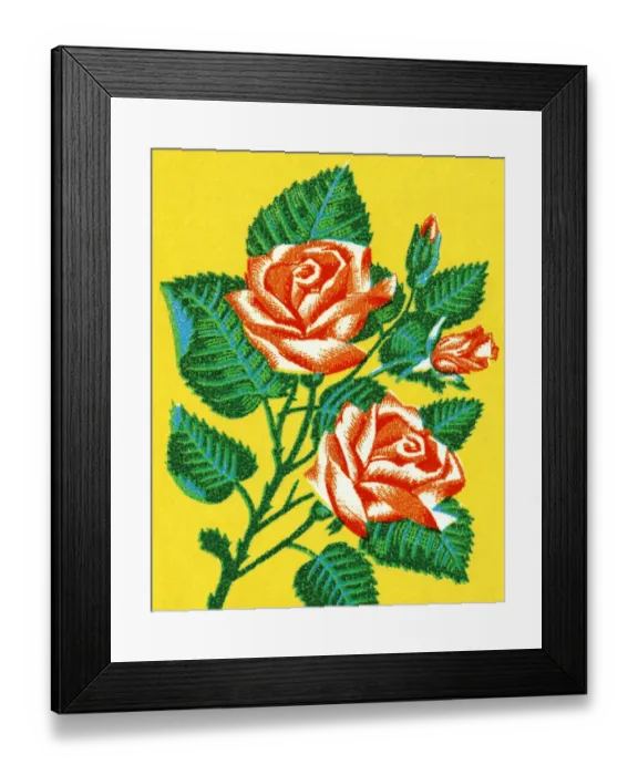 Framed Print : Branch of Roses Framed Print : Branch of Roses