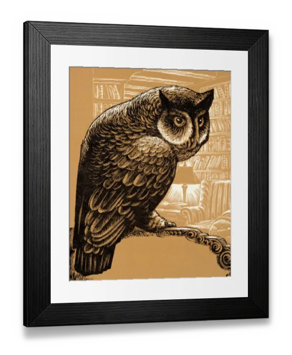 Framed Print : Owl Perched on a Branch Framed Print : Owl Perched on a Branch