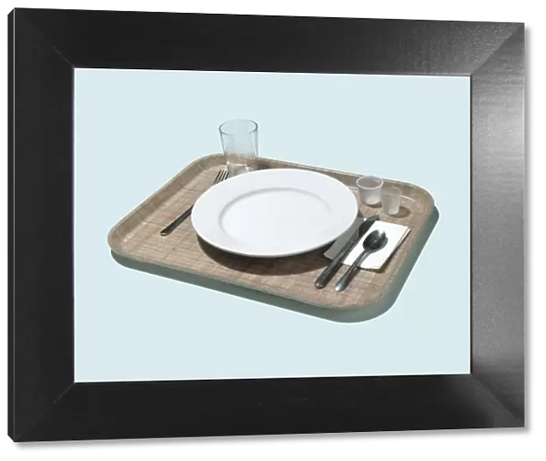 Place Setting on Tray