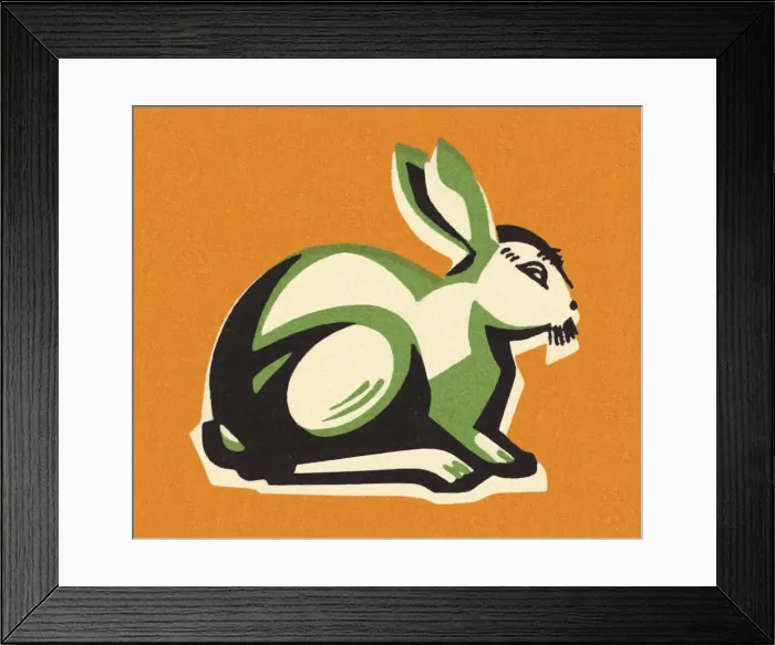 Framed Print : Rabbit on an Orange Background Framed Print : Rabbit on an Orange Background