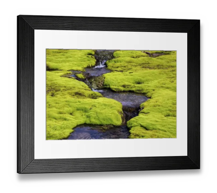 Framed Print : Small stream through moss, Westfjords, Iceland Framed Print : Small stream through moss, Westfjords, Iceland