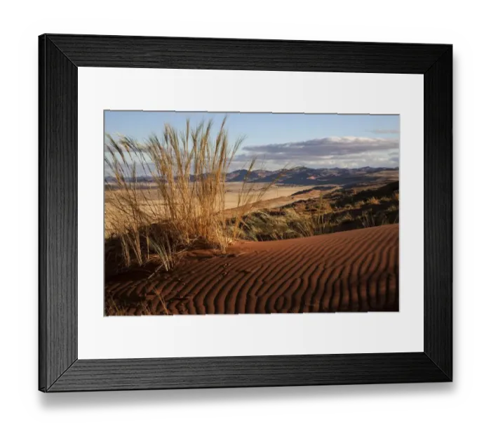 Framed Print : Elim Dune, view onto grass steppe at Sesriem Camp, Namib Desert, Namib Naukluft Park Framed Print : Elim Dune, view onto grass steppe at Sesriem Camp, Namib Desert, Namib Naukluft Park