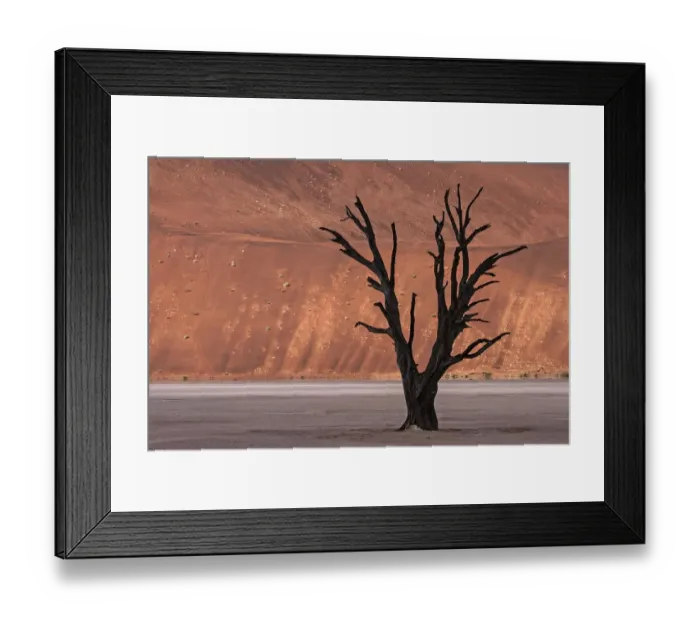 Framed Print : Dead camel thorn tree (Vachellia erioloba), sand dunes, Dead Vlei Sossusvlei, Namib Desert Framed Print : Dead camel thorn tree (Vachellia erioloba), sand dunes, Dead Vlei Sossusvlei, Namib Desert