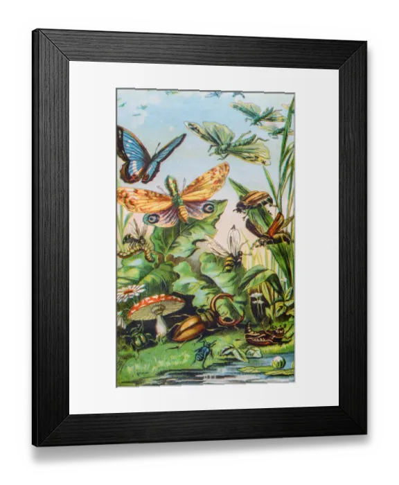 Framed Print : Antique color illustration from German children fable book Framed Print : Antique color illustration from German children fable book