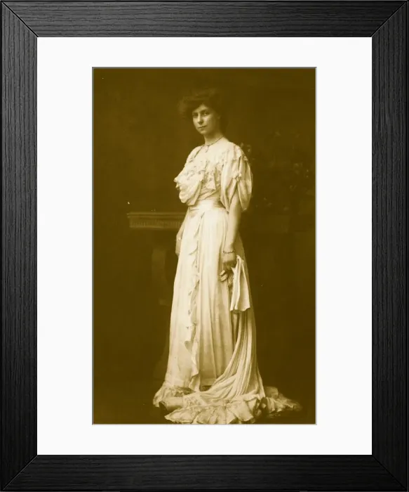 Framed Print : Evening Dress Framed Print : Evening Dress