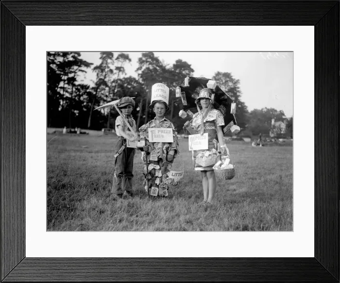 Framed Print : Fancy Dress Framed Print : Fancy Dress