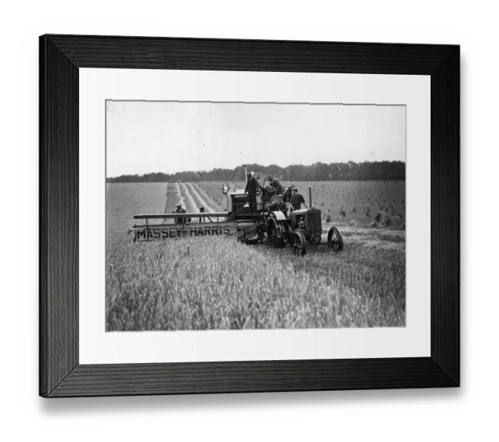 Framed Print : Harvesting Framed Print : Harvesting