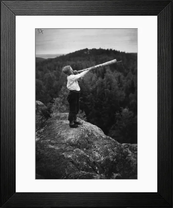 Framed Print : Finnish Horn Framed Print : Finnish Horn
