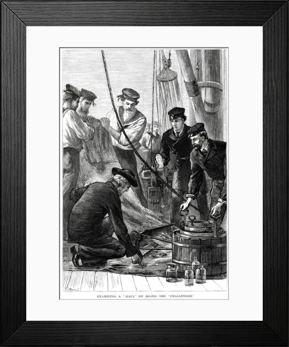 Framed Print : Examining a haul on HMS Challenger