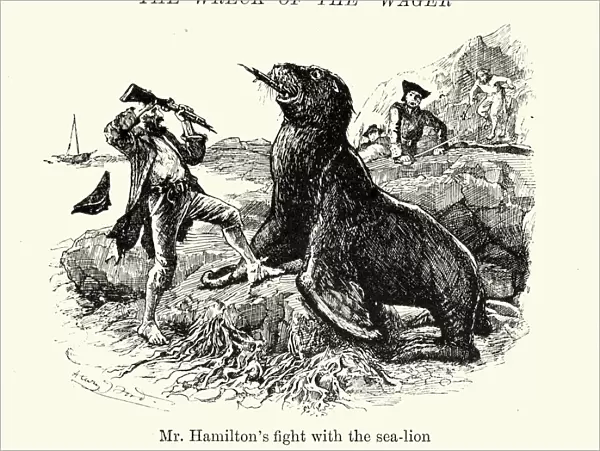 Wreak of HMS Wager Hamiltons fight with sealion