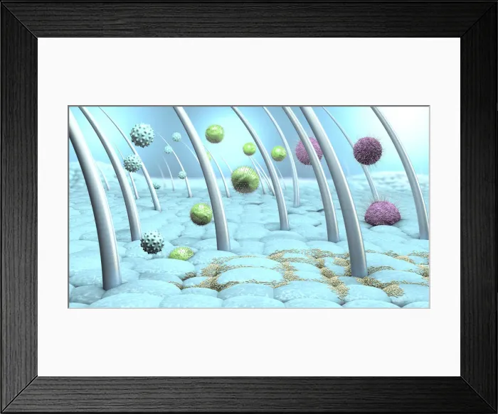Framed Print : Bacteria and viruses on human skin, illustration Framed Print : Bacteria and viruses on human skin, illustration