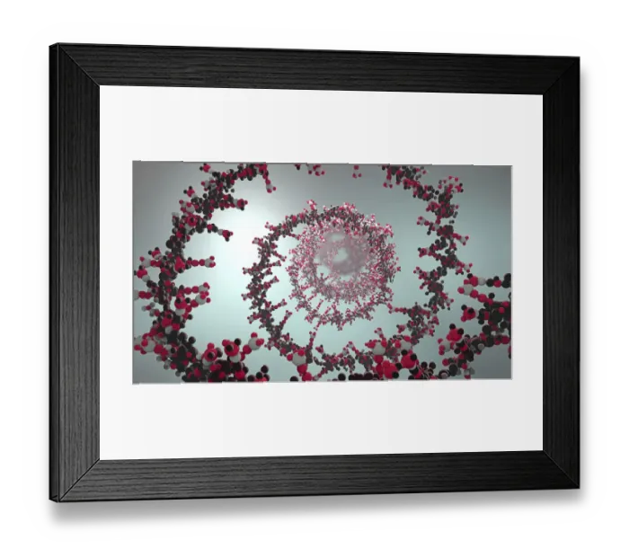Framed Print : Nucleic acid, illustration Framed Print : Nucleic acid, illustration