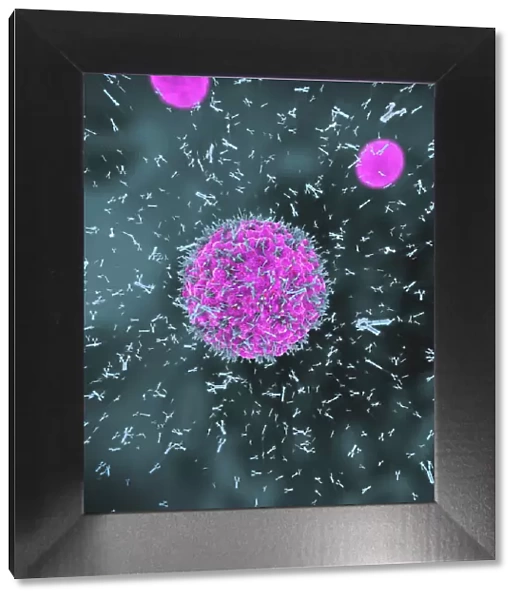 Antibodies attacking virus particles, illustration