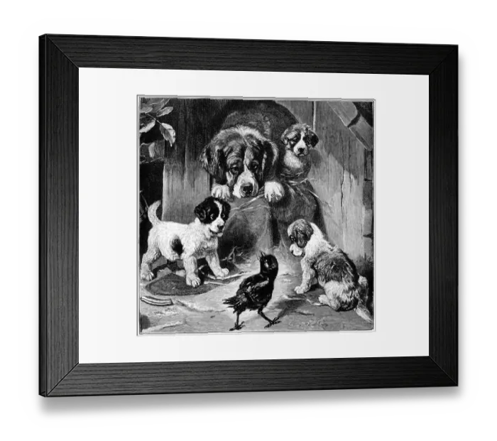 Framed Print : Puppies and their mother looking at a bird Framed Print : Puppies and their mother looking at a bird