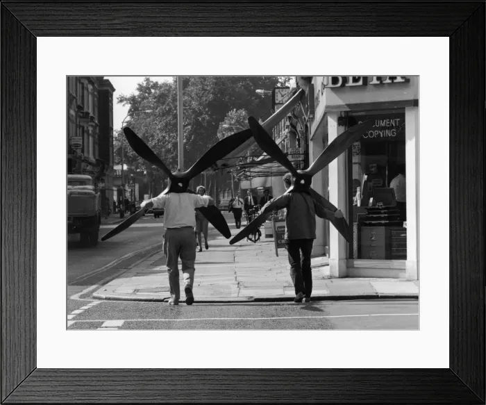Framed Print : Propellerheads Framed Print : Propellerheads
