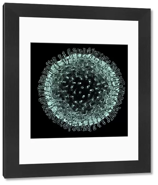 Coronavirus, artwork