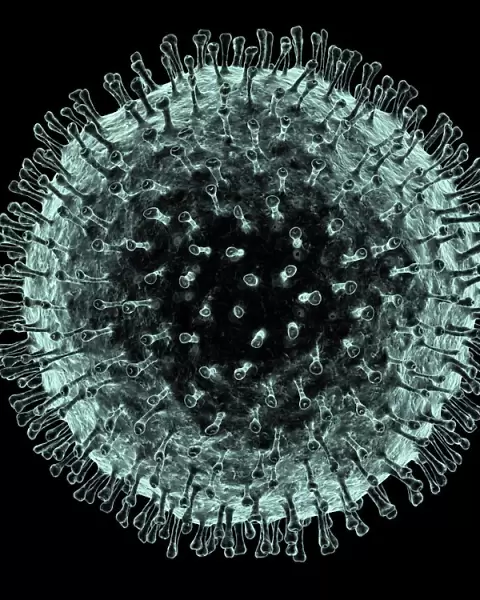 Coronavirus, artwork