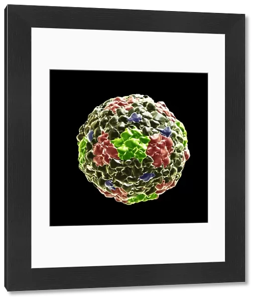Coronavirus virus particles, illustration