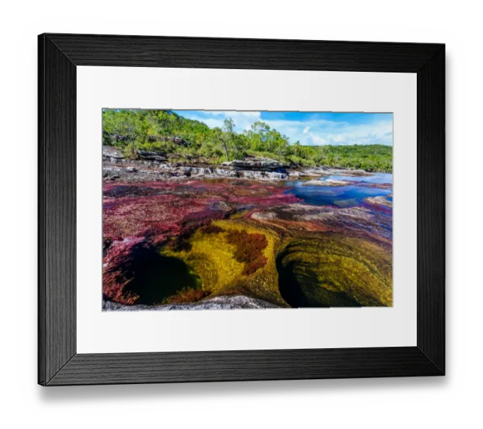 Framed Print : CaAno Cristales, River of Five Colors Framed Print : CaAno Cristales, River of Five Colors