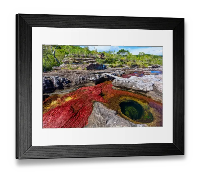 Framed Print : CaAno Cristales, River of Five Colors Framed Print : CaAno Cristales, River of Five Colors