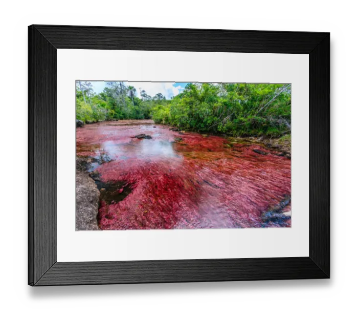 Framed Print : CaAno Cristales, River of Five Colors Framed Print : CaAno Cristales, River of Five Colors
