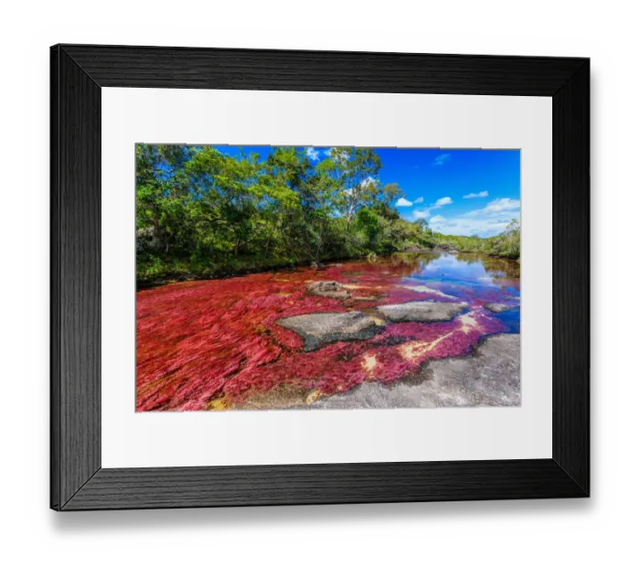 Framed Print : CaAno Cristales, River of Five Colors Framed Print : CaAno Cristales, River of Five Colors