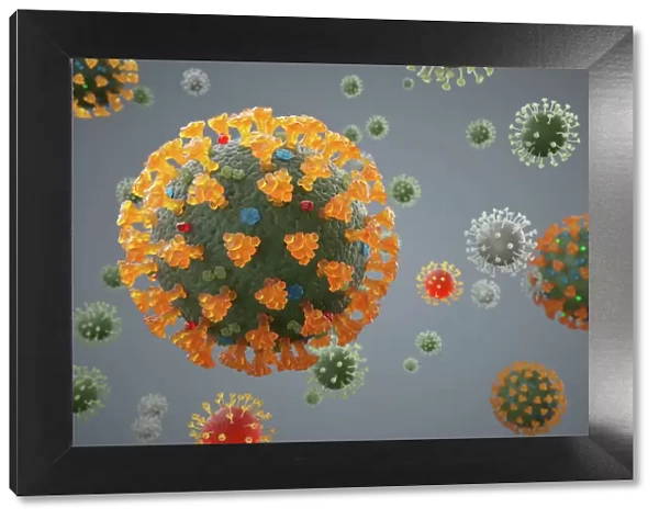 Coronavirus Structure Digital Image
