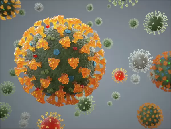 Coronavirus Structure Digital Image