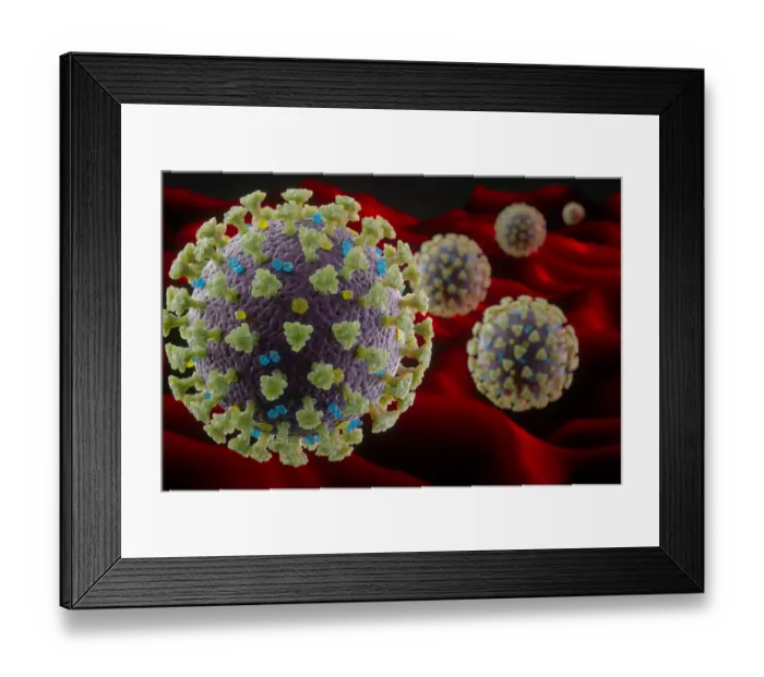 Framed Print : Coronavirus structure Framed Print : Coronavirus structure