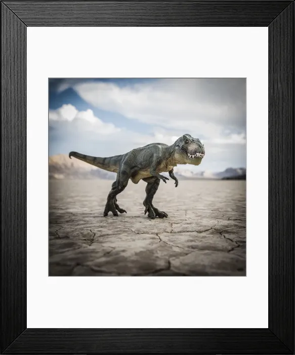 Framed Print : Tyrannosaurus rex dinosaur in desert field Framed Print : Tyrannosaurus rex dinosaur in desert field
