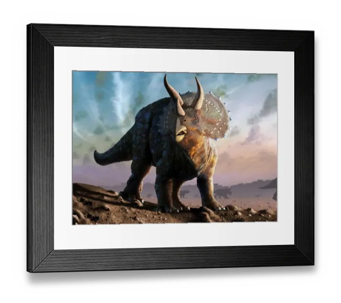 Framed Print : Artwork of a triceratops Framed Print : Artwork of a triceratops