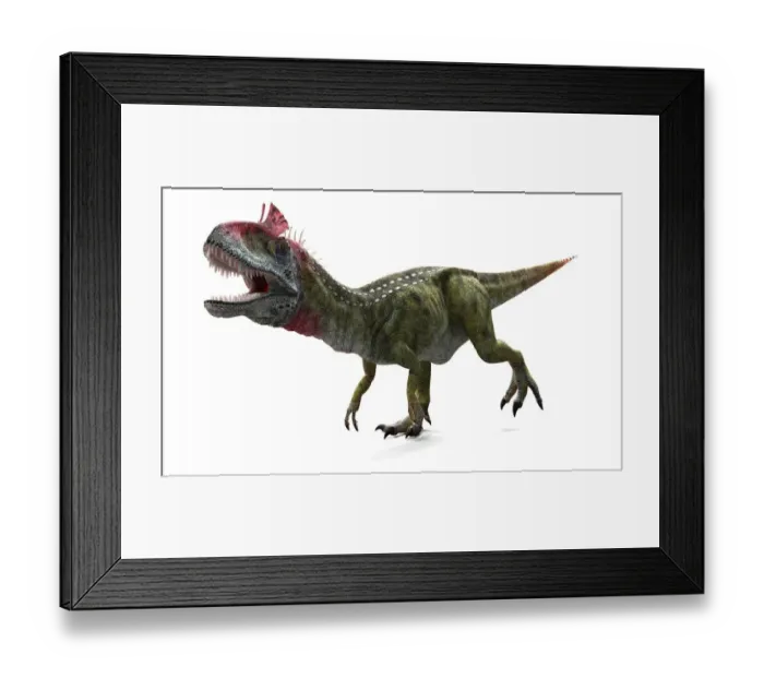 Framed Print : Cryolophosaurus dinosaur, artwork