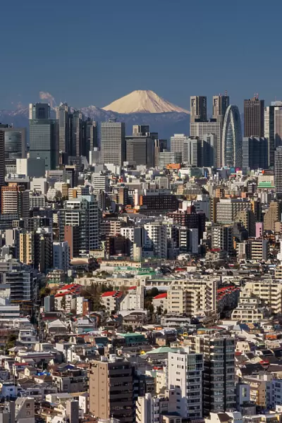 Tokyo cityscape with Mt. Fuji, Tokyo, Japan