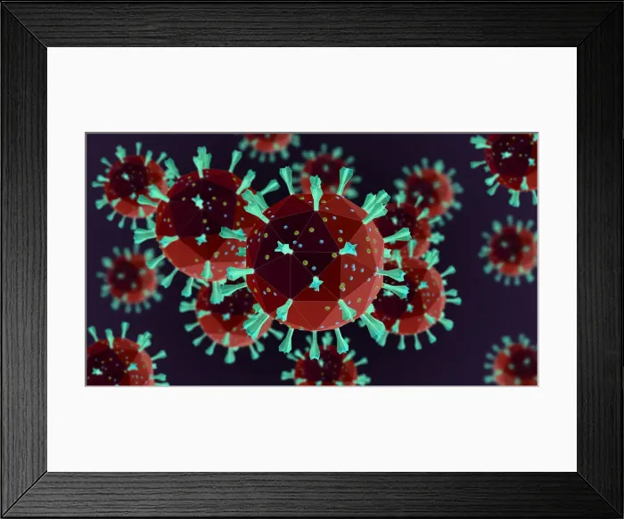Framed Print : SARS virus, illustration Framed Print : SARS virus, illustration