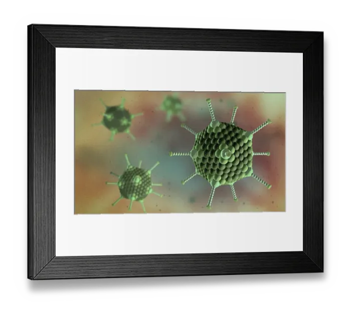 Framed Print : Adenovirus particles, illustration Framed Print : Adenovirus particles, illustration