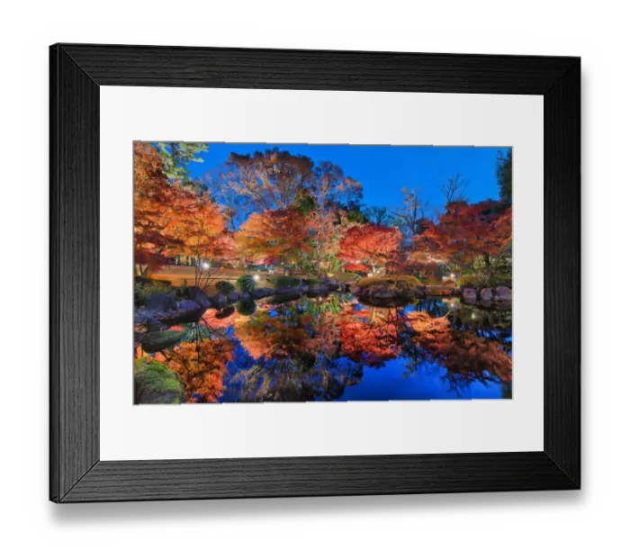 Framed Print : Traditional Japanese Garden Framed Print : Traditional Japanese Garden