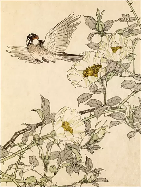 19th century Japanese woodblock print