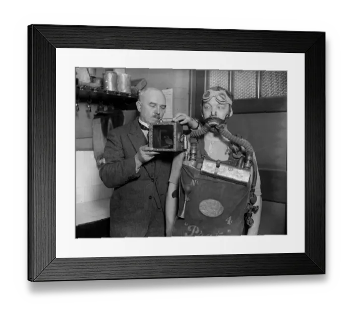 Framed Print : Volunteer Bird Framed Print : Volunteer Bird