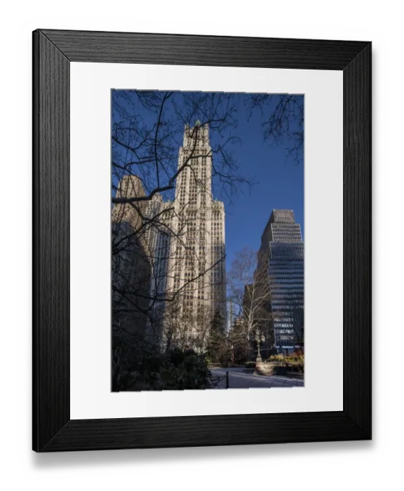 Framed Print : Woolworth Building New York In Early Morning Sunshine