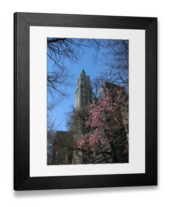 Framed Print : View from below of the Woolworth Building, Lower Manhattan, New York City Framed Print : View from below of the Woolworth Building, Lower Manhattan, New York City
